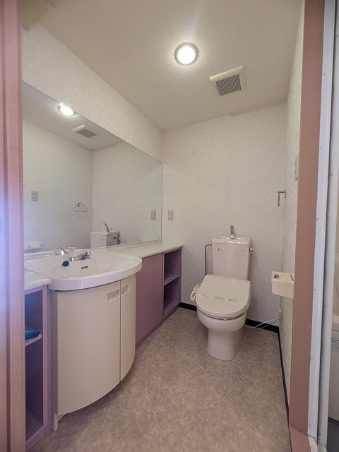 洗面設備　同物件、別号室のものです。