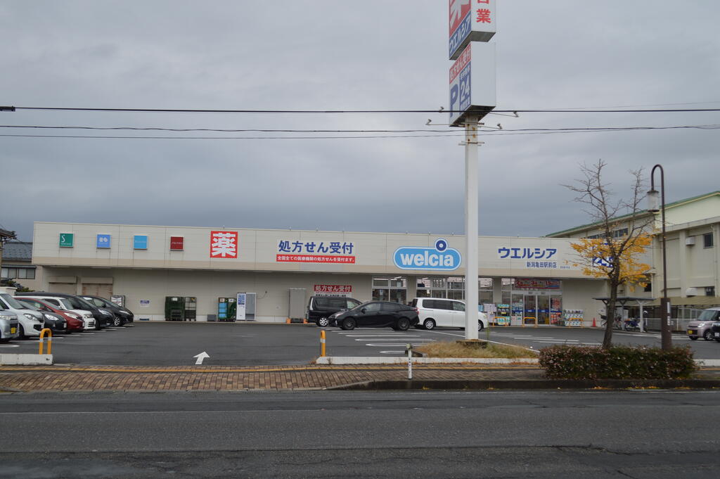 ドラックストア　ウエルシア新潟亀田駅前店（ドラッグストア）まで224m