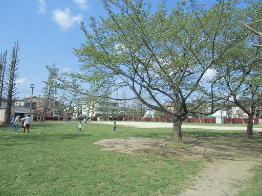 【アーヴァンヒルズ２号館の公園】