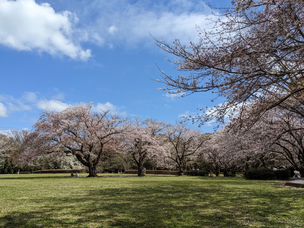 【アミカ湘南Ａの公園】