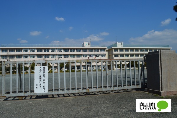 高嶺マンションの小学校