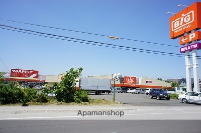 スーパー　ザ・ビッグ　　ツルハ（スーパー）まで650m