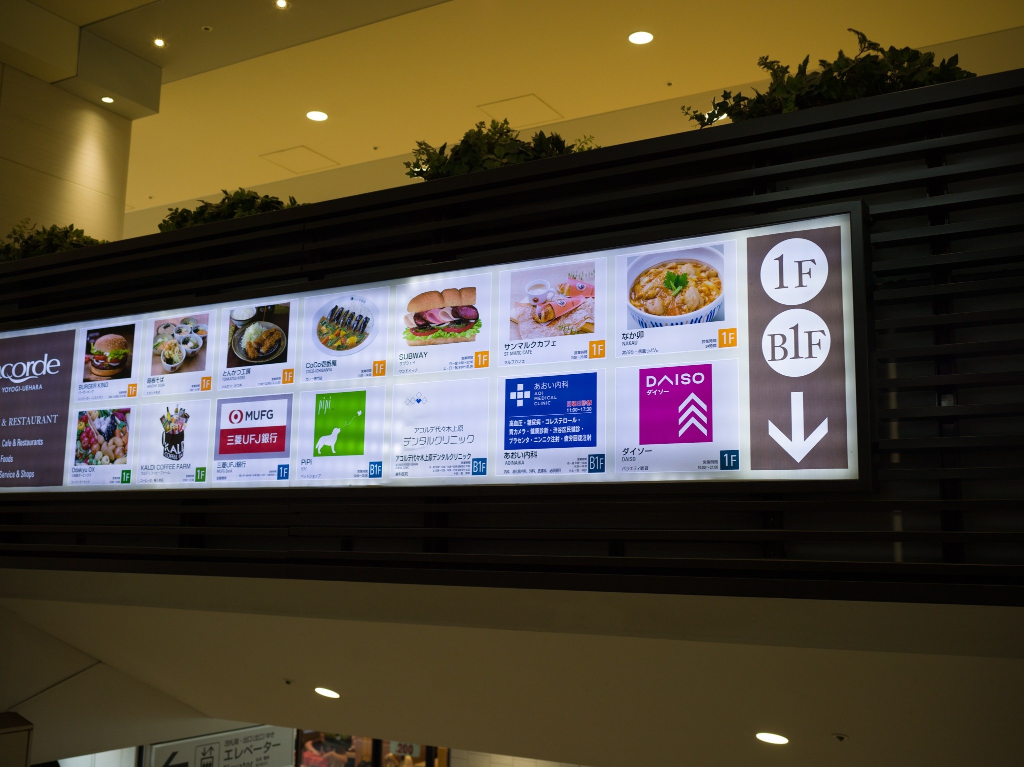 ショッピングセンター　アコルデ代々木上原（ショッピングセンター）まで1120m