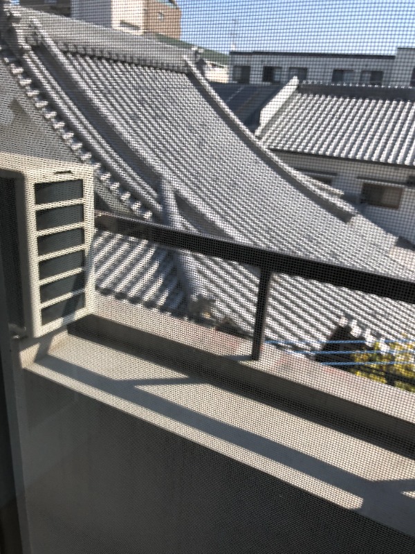 森小路矢野マンションの内装写真