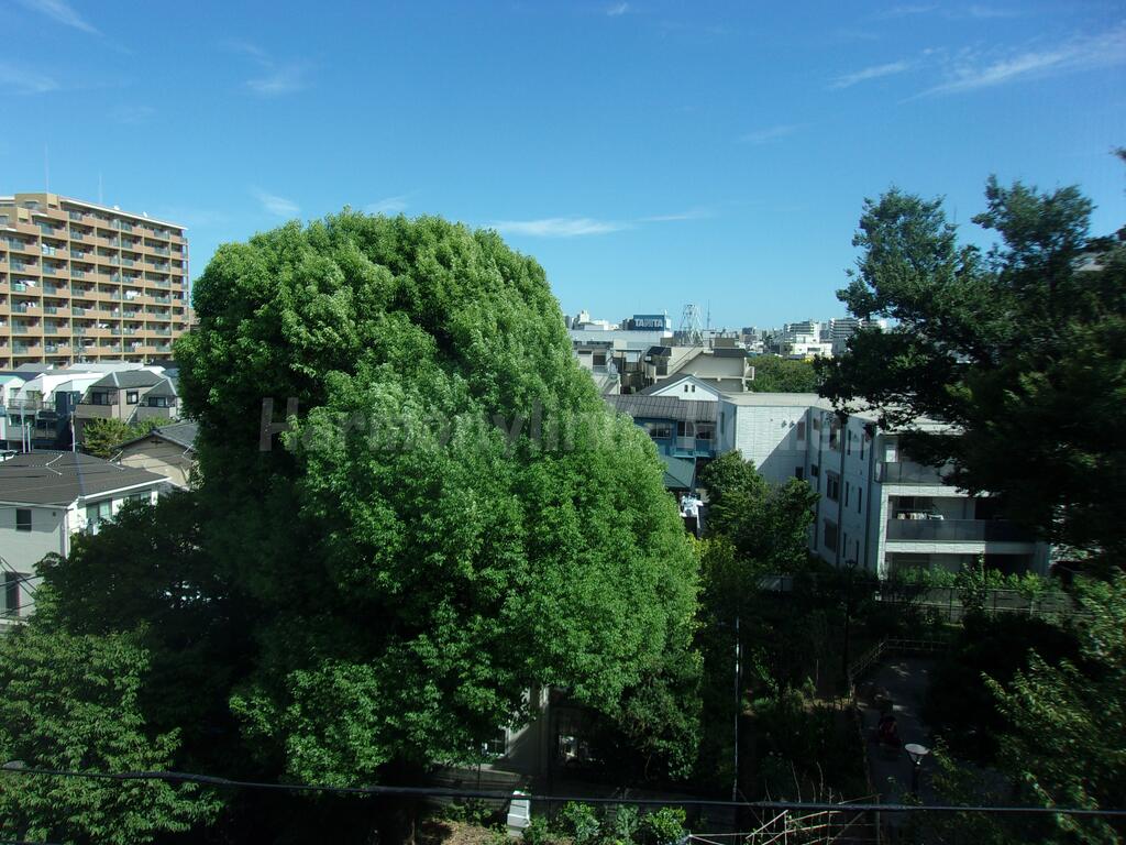 アルファコート常盤台2のその他写真