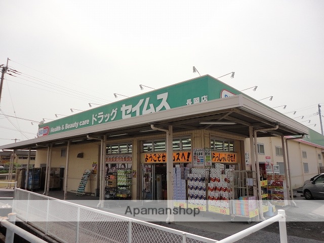 ドラックストア　ドラッグセイムス長岡店（ドラッグストア）まで315m