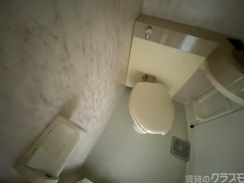 トイレ　贅沢は言えません。