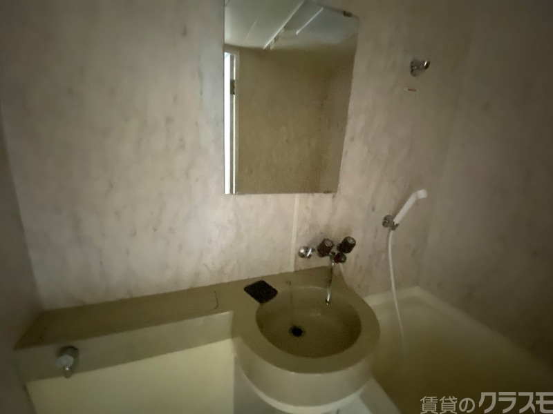 洗面設備　独立タイプではありませんが・・。