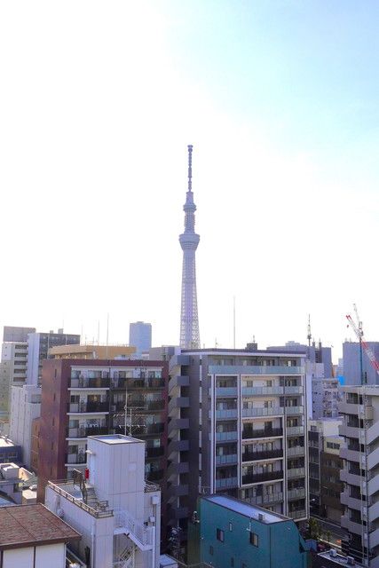 眺望　別部屋参考画像