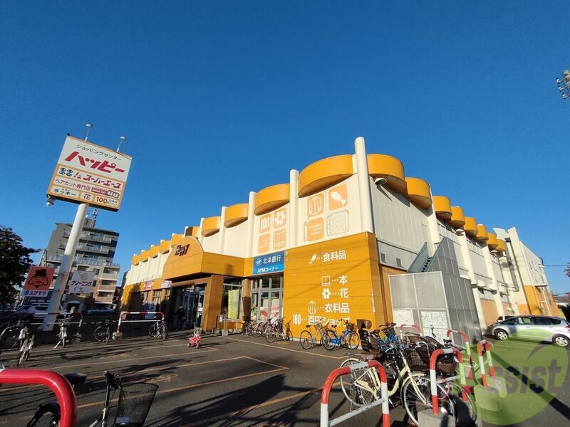 スーパー　スーパーエース北30条店（スーパー）まで266m