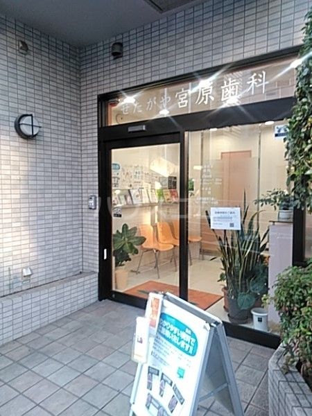 病院　せたがや宮原歯科（病院）まで1569m