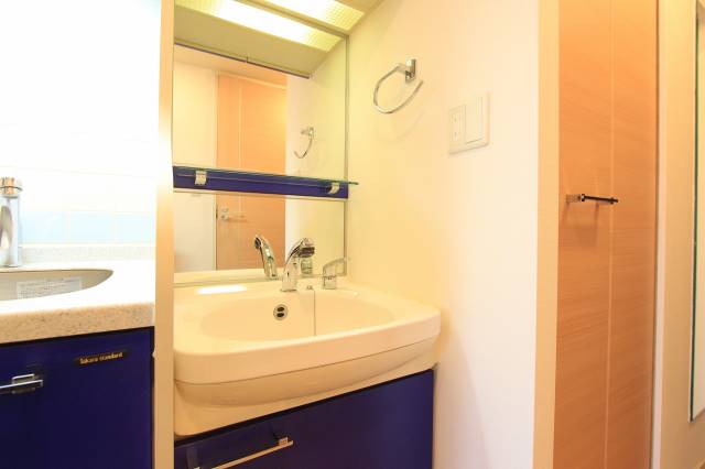 洗面設備　シャンプードレッサーもついてます