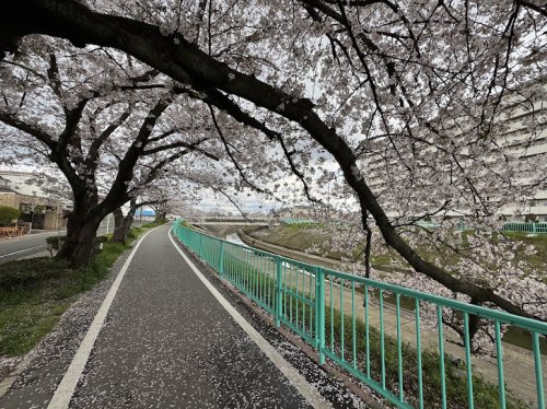 その他　香流川遊歩道（その他）まで484m
