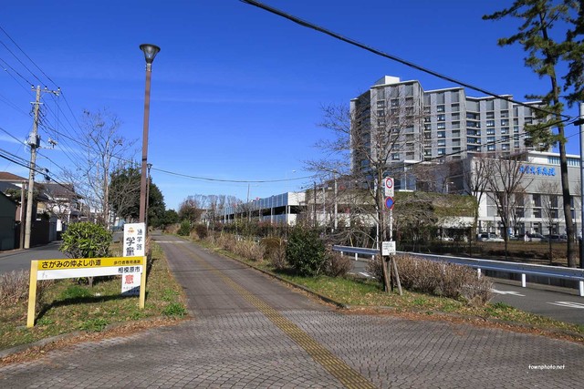 公園　さがみの仲よし小道（公園）まで701m