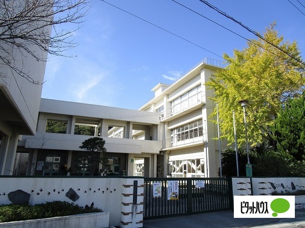 小学校　鳴門市立撫養小学校（小学校）まで1073m