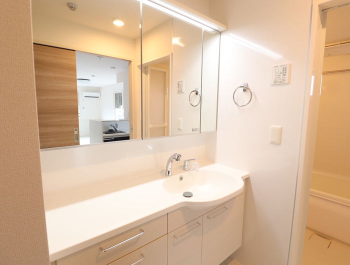 洗面設備　※同タイプの部屋写真です