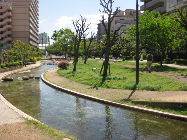 公園　大横川親水公園（公園）まで585m