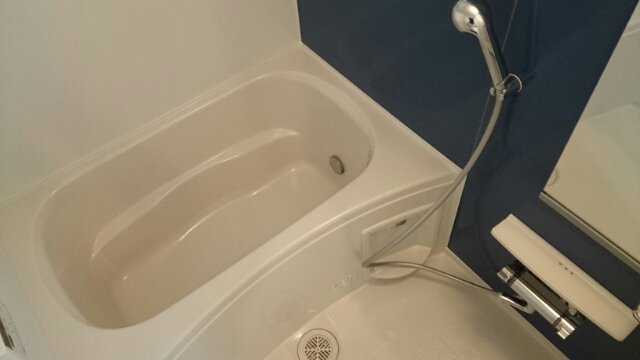 バス・シャワールーム　日々の疲れを癒すお風呂付です