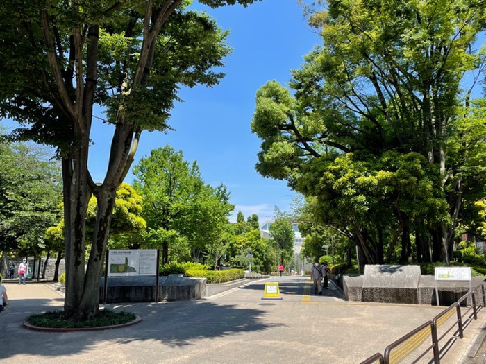 公園　教育の森公園（公園）まで1100m
