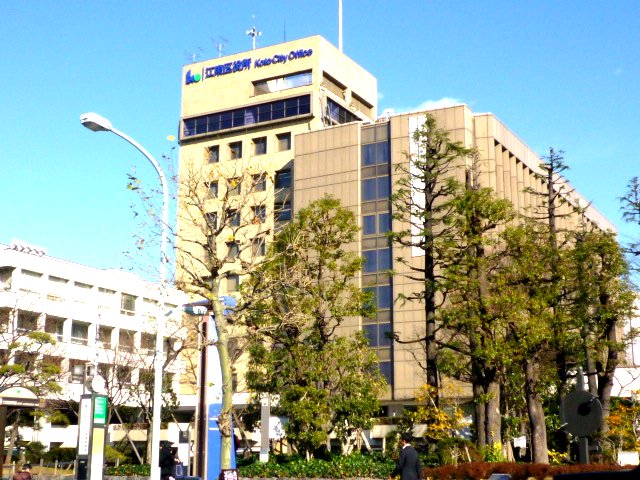 役所　江東区役所（役所）まで493m