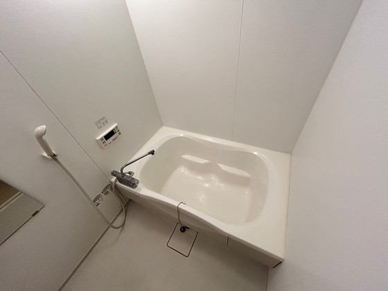 バス・シャワールーム　※別号室の写真になります。