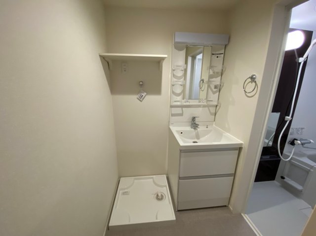 洗面設備　シャンプードレッサーもあります※105号室の写真になります