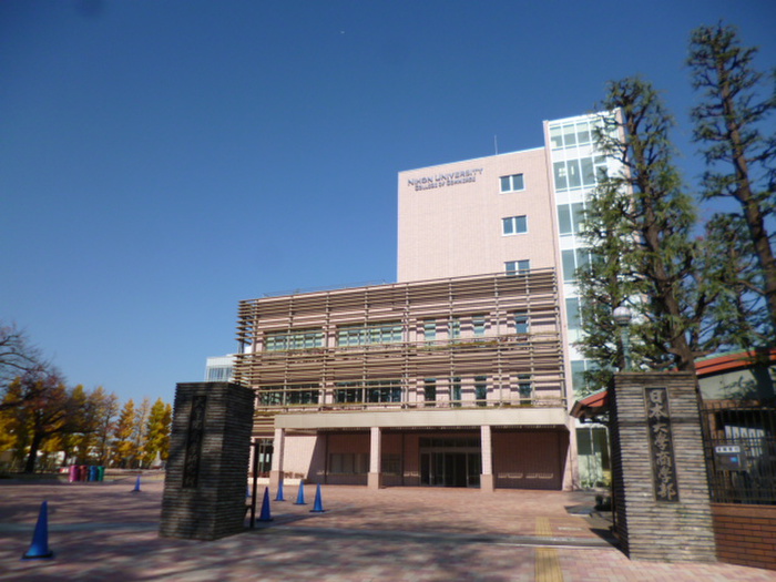 大学・短大　日本大学（大学・短大）まで550m