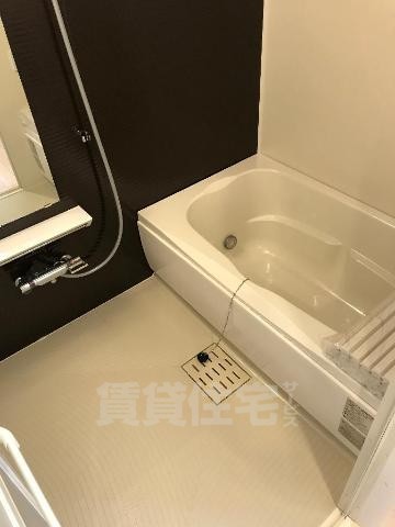 バス・シャワールーム　バス（イメージ）