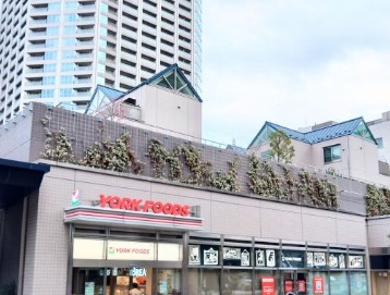 スーパー　ヨークフーズ新宿富久店（スーパー）まで215m