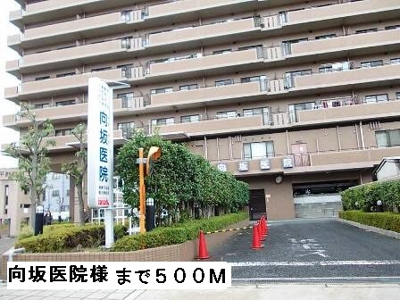 病院　向坂医院様（病院）まで500m