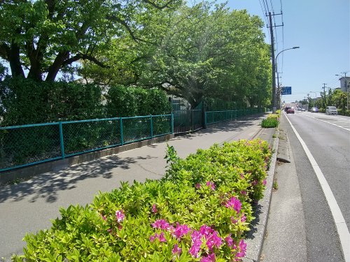 公園　袖ケ浦遊歩道（公園）まで693m
