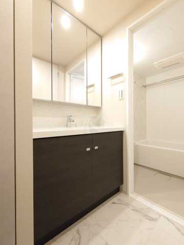 洗面設備　ザ・パークハビオ新高円寺