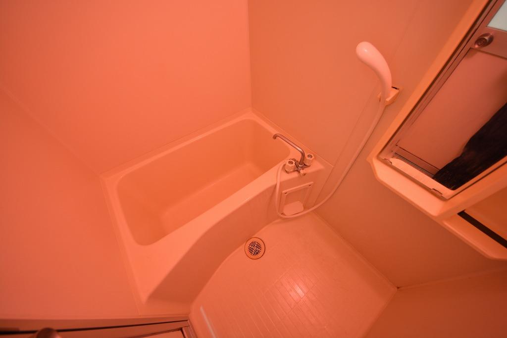 バス・シャワールーム　エステムコート大阪城南II　清潔な浴室