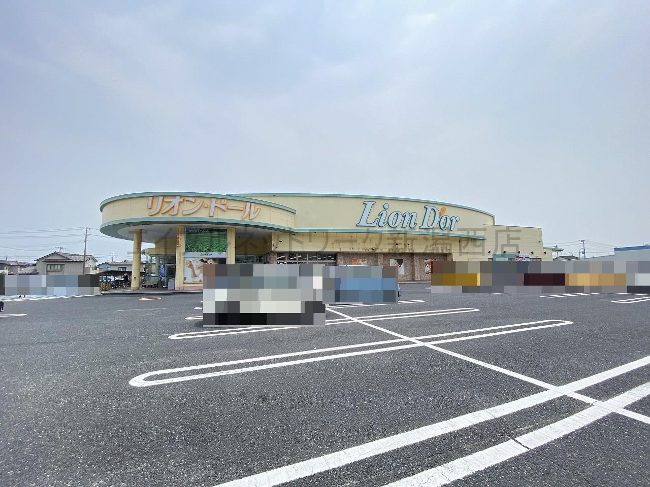 スーパー　リオン・ドール寺尾店（スーパー）まで923m