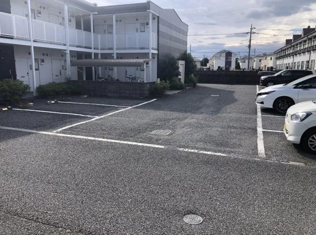 ヴィヴァルディのその他写真