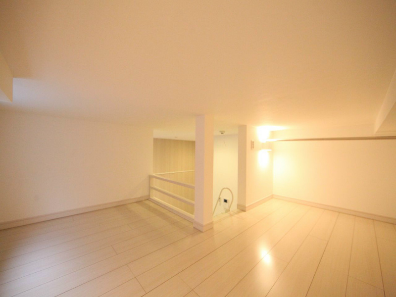その他　ロフト4.6帖（収納でもお部屋でも使えます）