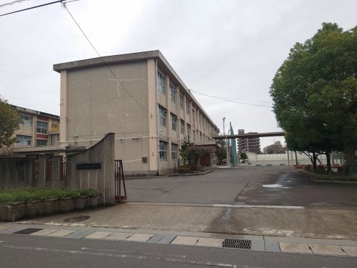 中学校　加納中学校（中学校）まで344m