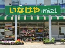 スーパー　いなげやina21 練馬中村南店（スーパー）まで353m