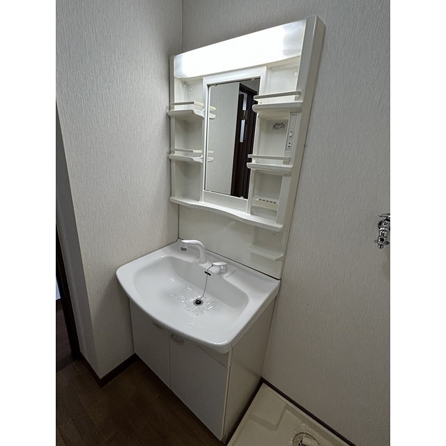 洗面設備　同建物の別部屋の写真です。