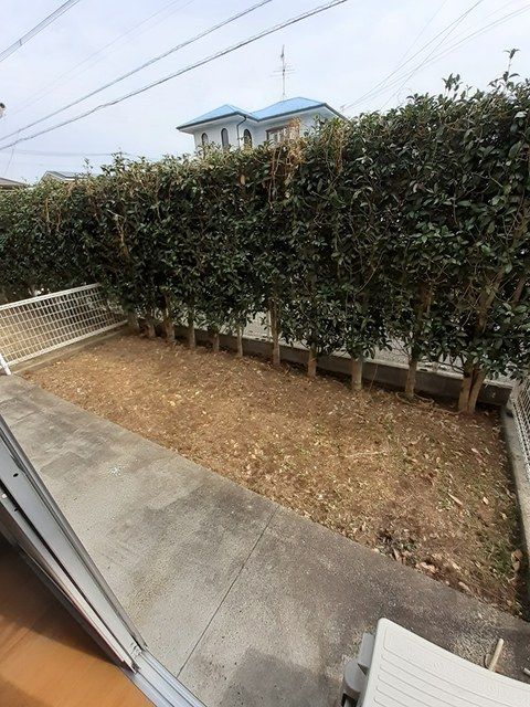 庭