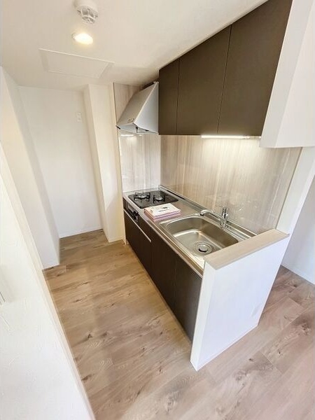 キッチン　嬉しいシステムキッチン付きです♪コンロを買わなくてもOK♪