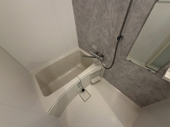 バス・シャワールーム　※別部屋の写真です