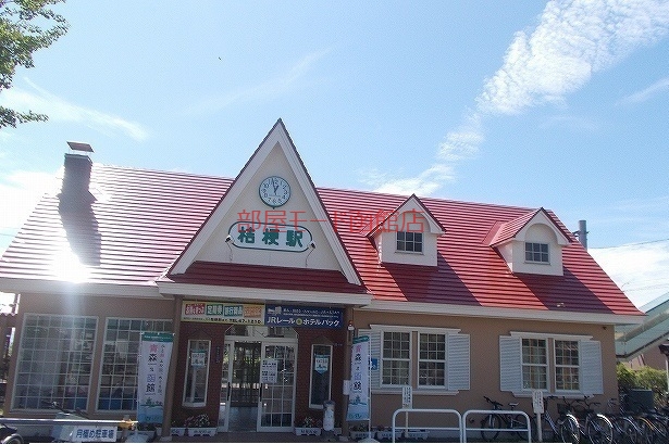 その他　桔梗駅（その他）まで1000m