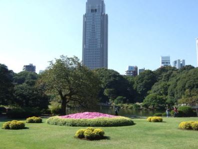 その他　新宿御苑