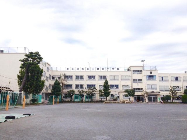 小学校　中野区立鷺宮小学校（小学校）まで534m