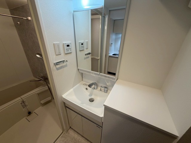 洗面設備　別号室の写真です