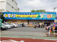 ドラックストア　どらっぐぱぱす小豆沢店（ドラッグストア）まで658m