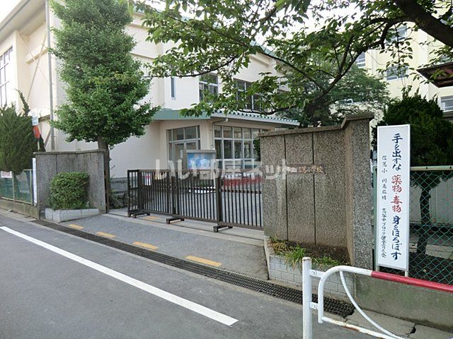 小学校　市川市立信篤小学校（小学校）まで676m