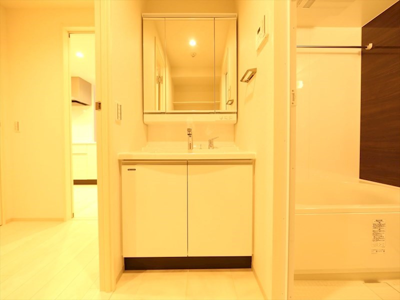 洗面設備　脱衣所　独立洗面台（シャンプードレッサー付）収納スペース有