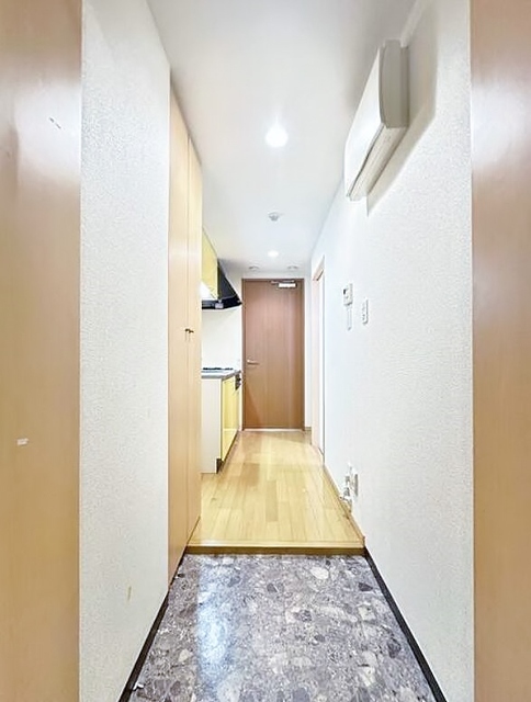 玄関　他の号室の御写真です。